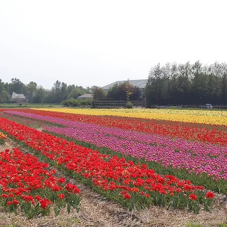 Bed & Breakfast Limmerzand